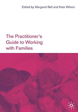 portada The Practitioner's Guide to Working With Families (en Inglés)