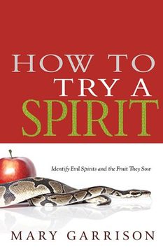 portada How to try a Spirit (en Inglés)