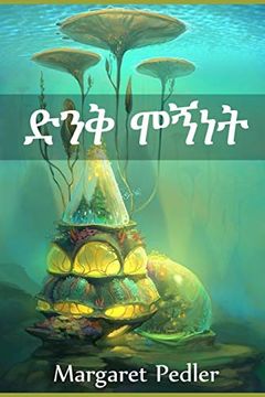 portada ድንቅ ሞኝነት: The Splendid Folly, Amharic Edition (in Amhárico)