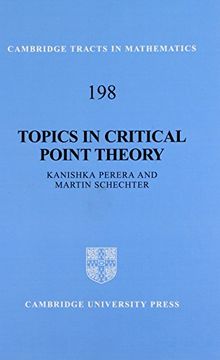 portada Topics in Critical Point Theory Hardback (Cambridge Tracts in Mathematics)