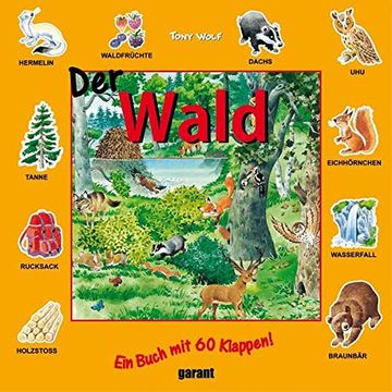 portada Der Wald. Ein Buch mit 60 Klappen (in German)