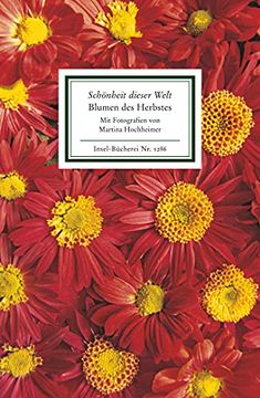 portada Schönheit Dieser Welt«. Blumen des Herbstes: Texte und Bilder (Insel Bücherei) (in German)