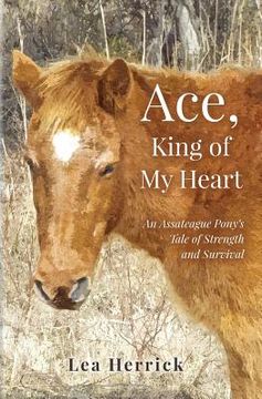 portada Ace, King of My Heart: An Assateague Pony's Tale of Strength and Survival (en Inglés)