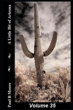 portada A Little Bit of Arizona: Volume 35 (en Inglés)