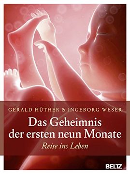 portada Das Geheimnis der Ersten Neun Monate: Reise ins Leben (en Alemán)