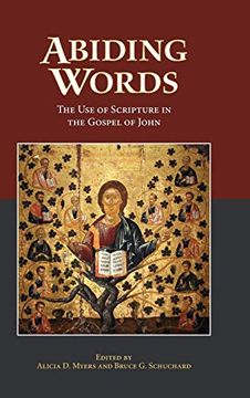 portada Abiding Words: The use of Scripture in the Gospel of John (Resources for Biblical Study) (en Inglés)