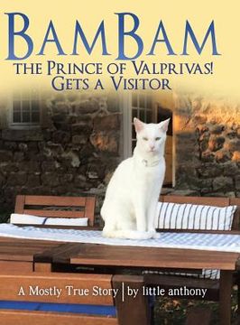 portada Bambam the Prince of Valprivas! Gets a Visitor: A Mostly True Story (en Inglés)