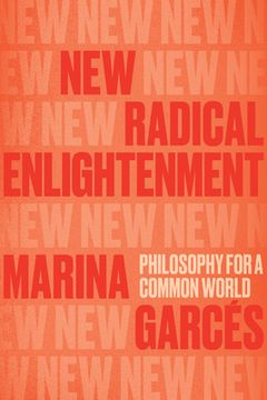 portada New Radical Enlightenment: Philosophy for a Common World (in English)