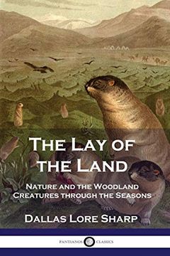 portada The lay of the Land: Nature and the Woodland Creatures Through the Seasons 