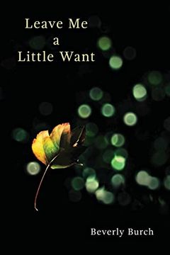 portada Leave me a Little Want (in English)