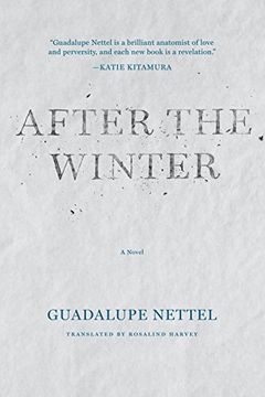 portada After the Winter (en Inglés)