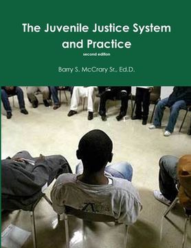 portada Juvenile Justice System and Practice (en Inglés)