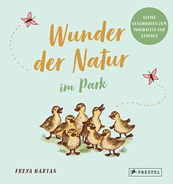 portada Wunder der Natur im Park: Kleine Geschichten zum Innenhalten und Staunen (en Alemán)