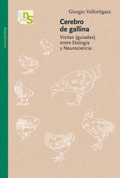 portada Cerebro de Gallina: Visitas (Guiadas) Entre Etología y Neurociencia (in Spanish)