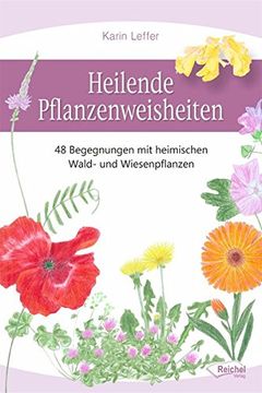 portada Heilende Pflanzenweisheiten: 48 Begegnungen mit Heimischen Wald- und Wiesenpflanzen (en Alemán)