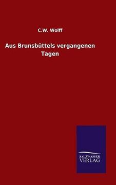 portada Aus Brunsbüttels vergangenen Tagen (German Edition)