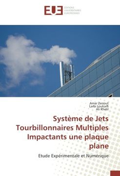 portada Système de Jets Tourbillonnaires Multiples Impactants une plaque plane: Etude Expérimentale et Numérique (French Edition)