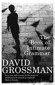 portada The Book of Intimate Grammar. David Grossman