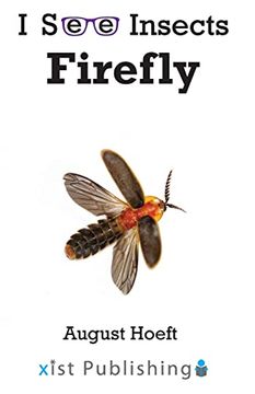 portada Firefly (i see Insects) (in English)