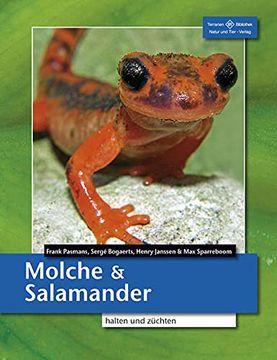 portada Molche und Salamander: Halten und Züchten (en Alemán)