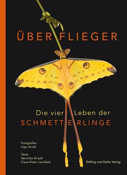 portada Überflieger. Die Vier Leben der Schmetterlinge die Vier Leben der Schmetterlinge (en Alemán)