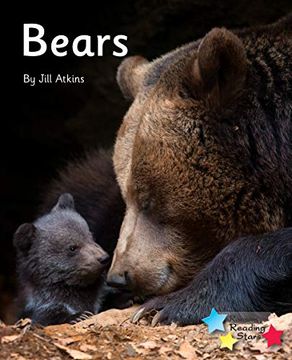 portada Bears: Phonics Phase 5 (Reading Stars Phonics) 