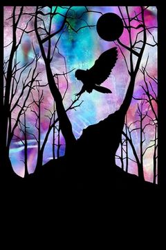 portada Owl In Flight: At Night (en Inglés)