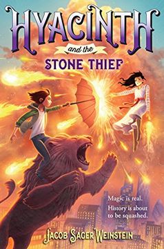portada Hyacinth and the Stone Thief 