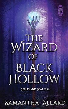 portada The Wizard of Black Hollow