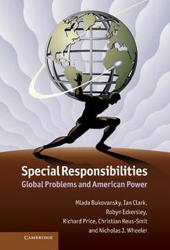 portada Special Responsibilities Hardback (in English)