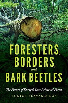 portada Foresters, Borders, and Bark Beetles: The Future of Europe's Last Primeval Forest