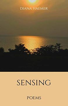 portada Sensing (en Inglés)