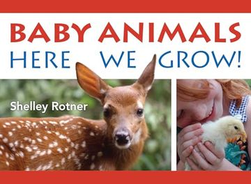 portada Baby Animals! Here we Grow (in English)