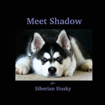 portada Meet Shadow the Siberian Husky: Meet Shadow (en Inglés)
