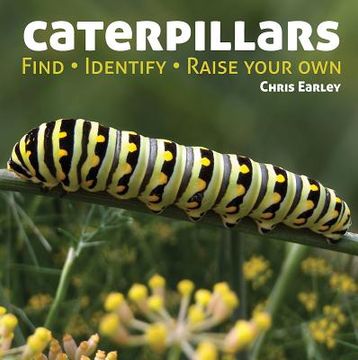 portada caterpillars: find - identify - raise your own (en Inglés)