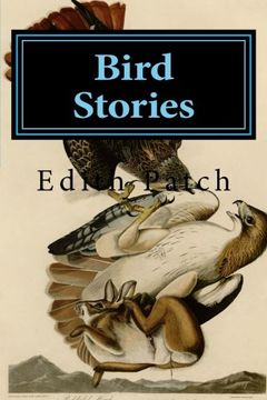 portada Bird Stories