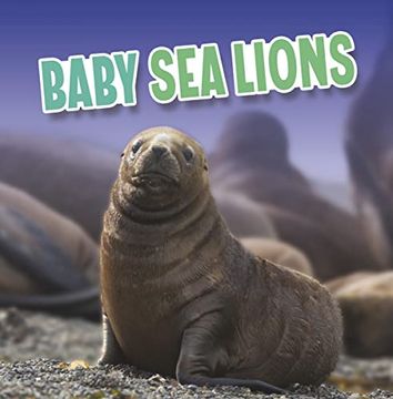 portada Baby sea Lions (Paperback)