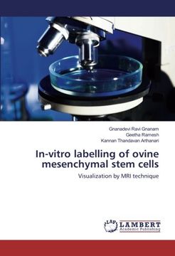 portada In-vitro labelling of ovine mesenchymal stem cells: Visualization by MRI technique