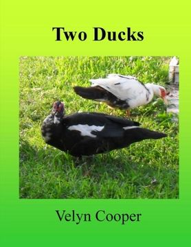 portada Two Ducks