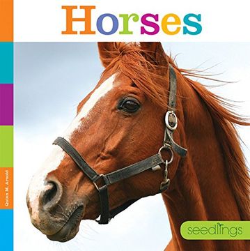 portada Seedlings: Horses