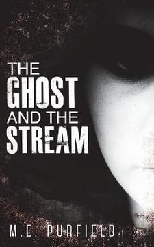 portada The Ghost and the Stream: Miki Radicci Book 9 (in English)