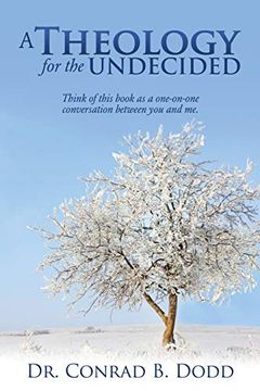 portada A Theology for the Undecided (en Inglés)