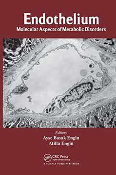 portada Endothelium: Molecular Aspects of Metabolic Disorders (en Inglés)