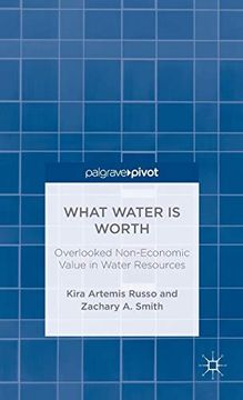 portada What Water is Worth: Overlooked Non-Economic Value in Water Resources (Palgrave Pivot) (en Inglés)