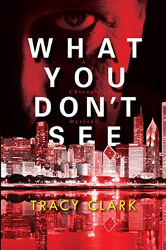 portada What you Don't see (a Chicago Mystery) (en Inglés)