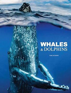 portada Whales & Dolphins (in English)