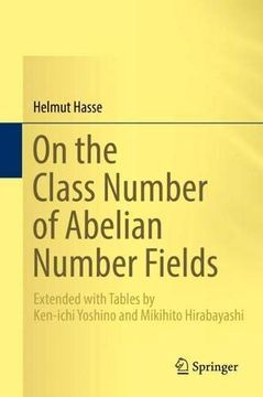 portada On the Class Number of Abelian Number Fields: Extended With Tables by Ken-Ichi Yoshino and Mikihito Hirabayashi (en Inglés)