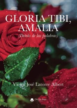 portada Gloria Tibi, Amalia (Detras de las Palabras)