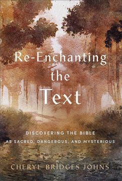 portada Re-enchanting the Text (en Inglés)