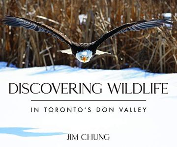 portada Discovering Wildlife in Toronto'S don Valley (en Inglés)